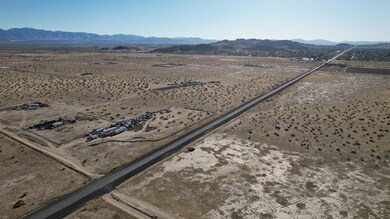 dji_fly_20250325_082006_339_174286556768