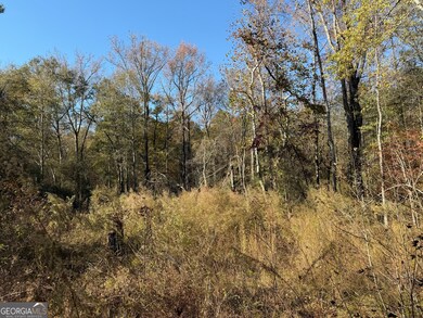 0 Thurman Baccus Rd unit 10647779, Social Circle, GA 30025 - photo 2