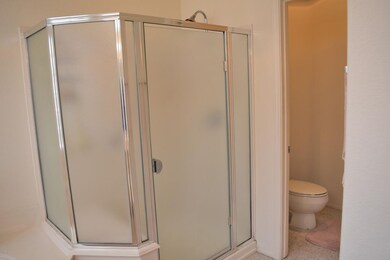 Master Walk in Shower