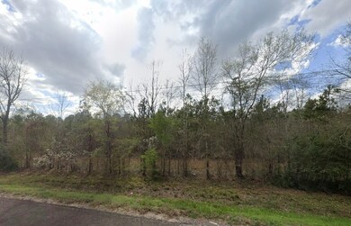 County Road 2121, Cleveland, TX 77327 - photo 6