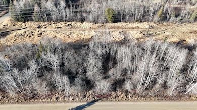 Parcel C Parameter, Deer River, MN 56636 - photo 2