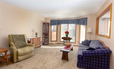 884 Bridge Rd, Akron, OH 44312 - photo 6