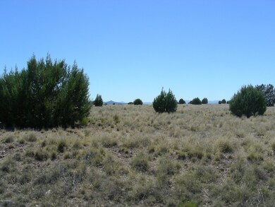 unlisted-address, Paulden, AZ 86334 - photo 5