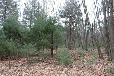 13 Longhorn Rd, Union Township, PA 16652 - photo 2