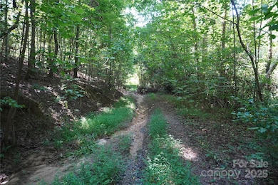 2899 Golden Bell Ln, Hudson, NC 28638 - photo 4