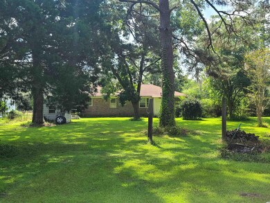 Rear of house and back yard