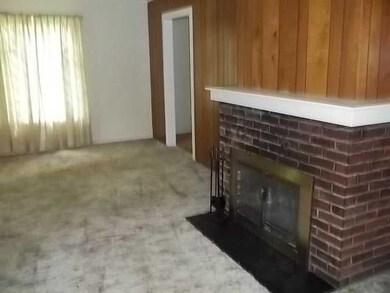 Living Room Fireplace