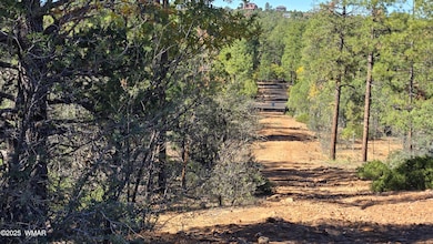 440 E Stoneridge Cir, Show Low, AZ 85901 - photo 4