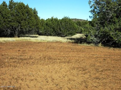 22171413 Unnamed Rd, Ash Fork, AZ 86320 - photo 6