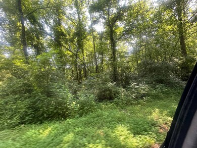 25 Rock Springs Rd, Celina, TN 38551 - photo 4