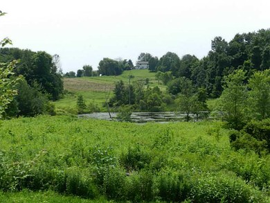 View.