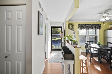 261 N Maple Rd, Saline, MI 48176 - photo 4