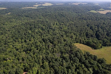 0 Dan Station Rd unit 11546184, Olaton, KY 42361 - photo 2