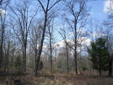 00 County Road H, Cutler, WI 54618 - photo 6