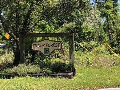 XX Oakwood Trail, Crawfordville, FL 32327 - photo 2