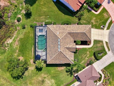 Birds Eye View