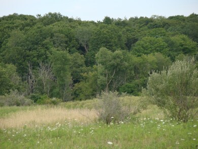 DSC06150