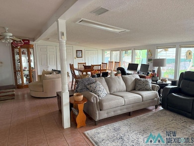 1312 W Thomas St, Carlsbad, NM 88220 - photo 3