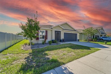 14323 Romeo Blvd, Wimauma, FL 33598 - photo 2