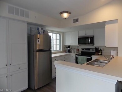 Chandlers Lane Condominiums unit 334, Olmsted Falls, OH 44138 - photo 7