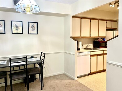 125 Turtle Creek Rd unit 9, Charlottesville, VA 22901 - photo 6