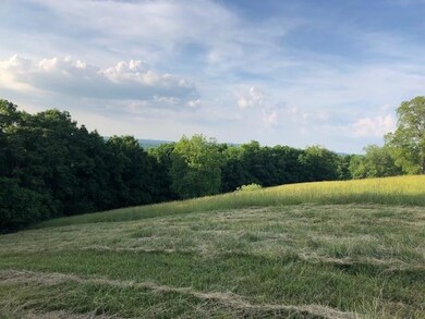 14 Scenic View Ln, Shelbyville, TN 37160 - photo 5