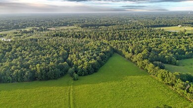 NHN Salem Rd, Picayune, MS 39466 - photo 7