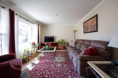 27-web-or-mls-DSC_1598