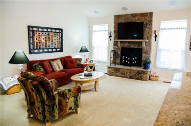 7043 Silk Oak Dr, Moseley, VA 23120 - photo 4