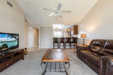 4708 SW 8th Place unit 206, Cape Coral, FL 33914 - photo 6