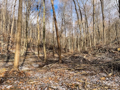 TBD Starr Rd, Jefferson Township, IN 47108 - photo 5