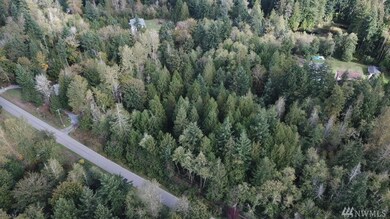 22613 152nd Ave E, Graham, WA 98338 - photo 5