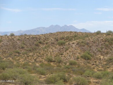 View of Four Peaks