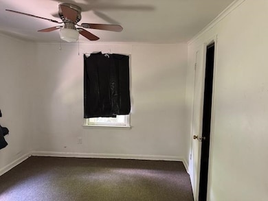 Carpeted empty room with crown molding, ceiling fa