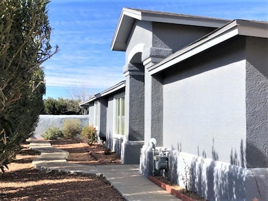 701 Desert Cloud Dr, Horizon City, TX 79928 - photo 2