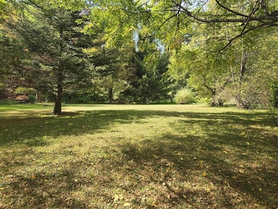 Huge back yard, big enough for a Volley Ball Game!