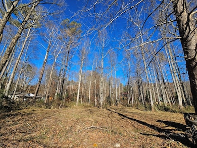 Lot 18 Mountain Meadows Dr, Shooting Creek, NC 28904 - photo 7