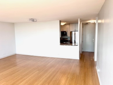 4343 N Clarendon Ave unit 2504, Chicago, IL 60613 - photo 4