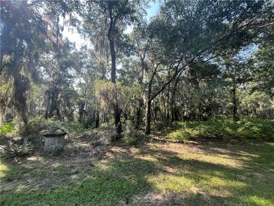 LOT 53