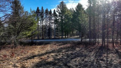 N10657 2nd Ave, Camp Douglas, WI 54618 - photo 3