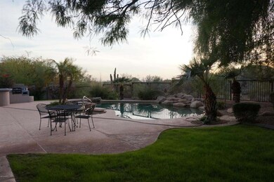 Pool & Patio