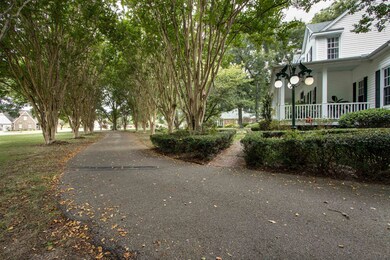 Long driveway shaded by a row of Crepe Myrtles