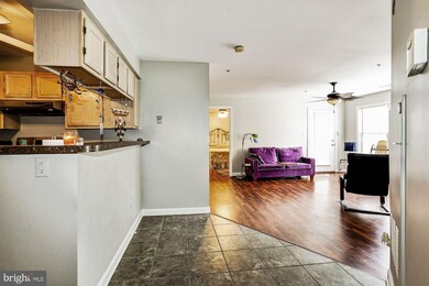 6830 Hayley Ridge Way unit L, Baltimore, MD 21209 - photo 6