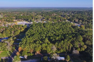 TBD Fm 92 E, Silsbee, TX 77656 - photo 5