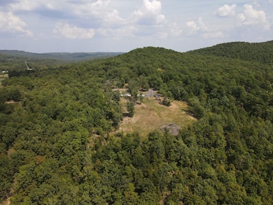 291 Wildwood Ln, Marshall, AR 72650 - photo 3