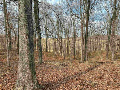 xx Cave Creek Rd, Mammoth Spring, AR 72554 - photo 7