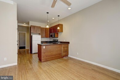 1301 Washington Blvd unit A, Baltimore, MD 21230 - photo 2