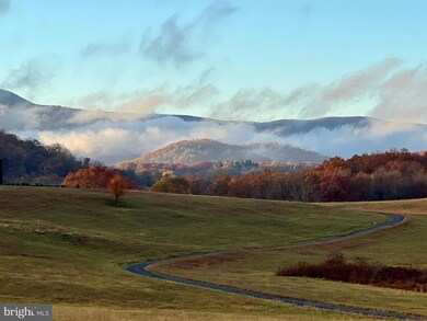 43 Liberty Springs, Amissville, VA 20106 - photo 4