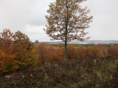 0 Valleyview Ridge unit 3 21113508, Manistee, MI 49660 - photo 6