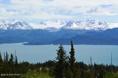 Bear Cove View